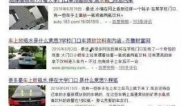 广西生活爆料视频最新,街头美食盛宴，民俗风情大揭秘！