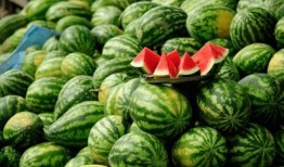 青海藏族网红吃瓜,揭秘高原生活趣味瞬间