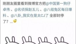 娱乐吃瓜单词有哪些,热门词汇大揭秘