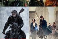 bt种子在线观看,解锁海量影视资源新方式