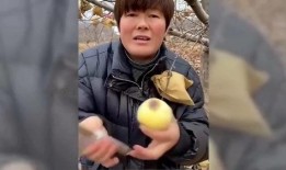 搞笑明星爆料网红视频大全,笑料百出！搞笑明星揭秘网红爆笑视频大盘点