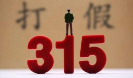 315晚会重磅爆料视频,揭秘行业黑幕，守护消费者权益！