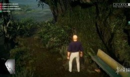 雨林爆料第二集视频播放,揭秘热带雨林的神秘面纱