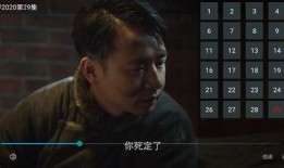 阿诺最新爆料视频大全集,揭秘幕后真相与精彩瞬间