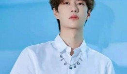 真实爆料王一博视频合集,揭秘明星背后的故事