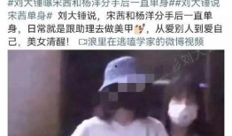 刘大锤最新爆料85后,85后群体新动向