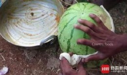 青海藏族网红吃瓜,揭秘高原生活趣味瞬间