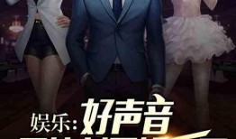 爆料娱乐圈西瓜哥小说,娱乐圈幕后风云录