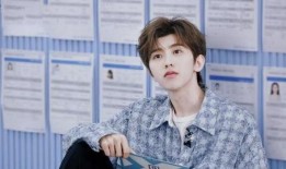 陈立农隐藏爆料视频播放,隐藏爆料背后的故事