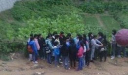 广西宾阳最新闻爆料,揭秘当地热点事件背后的真相