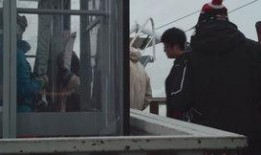 最新爆料暴雪视频大全下载,视频大全下载全解析