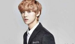 鹿晗漫画爆料最新版,揭秘明星私生活与情感纠葛