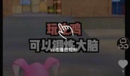爆料最新视频下载安装,一键操作，轻松掌握！