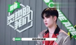 圈内爆料周震南,揭秘明星背后的真实故事