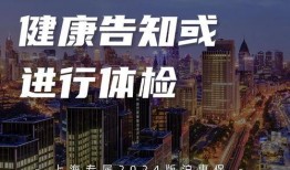 都市爆料沪上名家视频,都市爆料视频中的艺术魅力展现