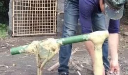 死水最新爆料视频下载大全,揭秘幕后真相