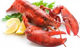 龙虾最新爆料新闻内容,揭秘幕后真相，行业乱象引发热议