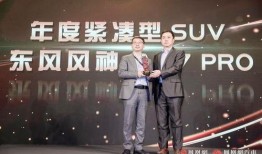 都市爆料沪上名家视频,都市爆料视频中的艺术魅力展现