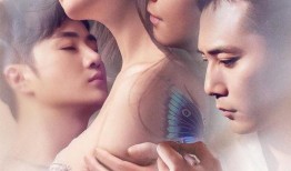 夜孔雀电影在线观看,穿越时空的美丽邂逅