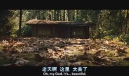 林中小屋免费在线观看,免费在线观影，探索自然与心灵的避风港