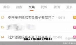 刘大锤最新爆料85后,85后群体新动向
