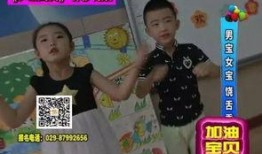 宝娃节目爆料最新视频在线观看,精彩瞬间抢先看！