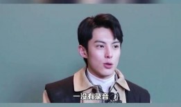 群演爆料王鹤棣视频大全,王鹤棣视频大全，揭秘明星幕后生活点滴