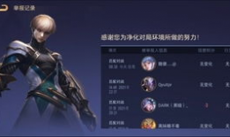 aov先行服最新爆料,揭秘游戏新玩法与神秘更新内容