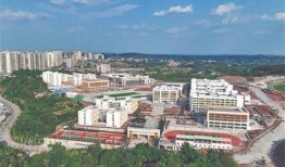 成都爆料武胜新闻,武胜新闻聚焦热点事件