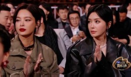 娱乐热点爆料白鹿张凌赫,甜蜜互动引网友热议