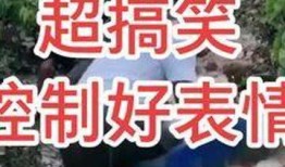 农村爆料搞笑段子视频,笑料百出，欢乐无限