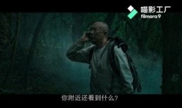 失踪在线观看,揭秘网络迷踪的惊险追踪之旅
