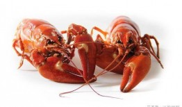 龙虾最新爆料新闻内容,揭秘幕后真相，行业乱象引发热议