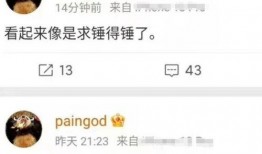 湖北网友爆料视频播放大全,精彩瞬间一网打尽
