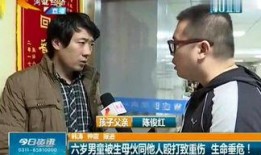 石家庄老板娘最新爆料,最新爆料背后的惊人真相