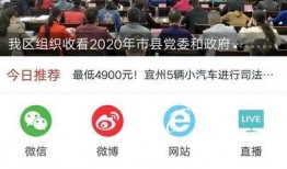 宜州新闻爆料网站查询,揭秘本地热点事件，追踪最新动态！