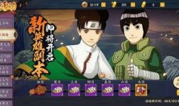 忍者副本爆料大全最新