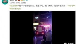 校园爆料合集视频在线观看,揭秘校园生活精彩瞬间