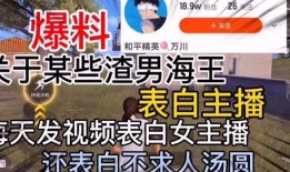渣男爆料直播视频大全最新,揭秘渣男爆料视频大全背后的真相与内幕