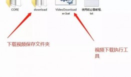 真实网络爆料视频大全下载,视频大全背后的真实故事