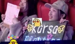 妖风小姐姐爆料视频大全,揭秘娱乐圈幕后真相