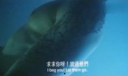 猛鬼屠房中文在线观看,惊悚在线观影，恐怖盛宴即将开启
