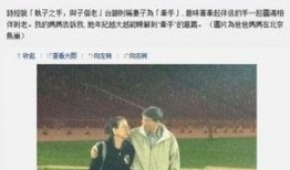 王力宏父亲爆料视频播放,揭秘家庭内幕与音乐事业