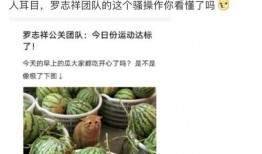 吃瓜网红的网站叫什么,揭秘热门话题背后的秘密