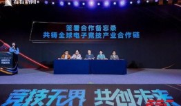 都市爆料沪上名家视频,都市爆料视频中的艺术魅力展现