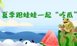 呱呱呱在线吃瓜免费观看,呱呱呱在线吃瓜盛宴