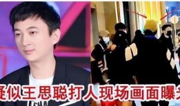 王思聪所有爆料照片视频,揭秘娱乐圈幕后真相