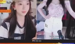 沈阳爆料主播事件视频最新,真相与争议交织的直播风波