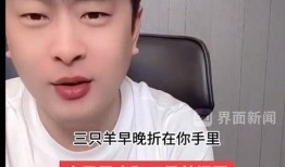 辛巴爆料三只羊最新消息,揭秘三只羊背后的故事与未来动向