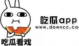 网红黑瓜吃料网站有什么,热门话题背后的真相解析